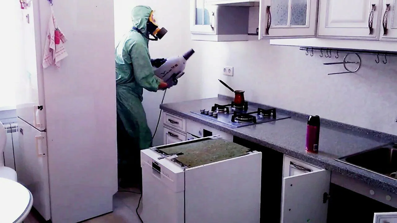 обработка от тараканов кухни туманом обработка от тараканов кухни туманом